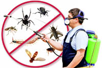 Дезинсекция - уничтожение тараканов, клопов, клещей, муравьев, ос и прочих насекомых, в квартирах, офисах, загородных домах